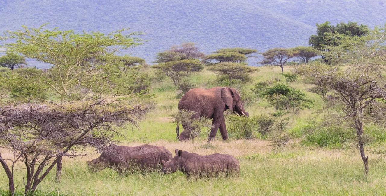 Sungulwane Private Game Lodge Хлухлуве Екстериор снимка