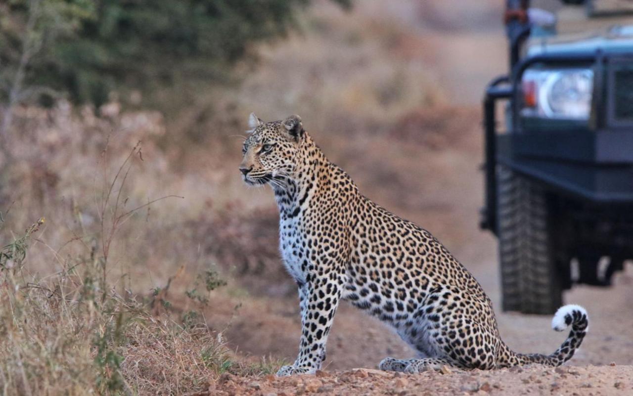 Sungulwane Private Game Lodge Хлухлуве Екстериор снимка