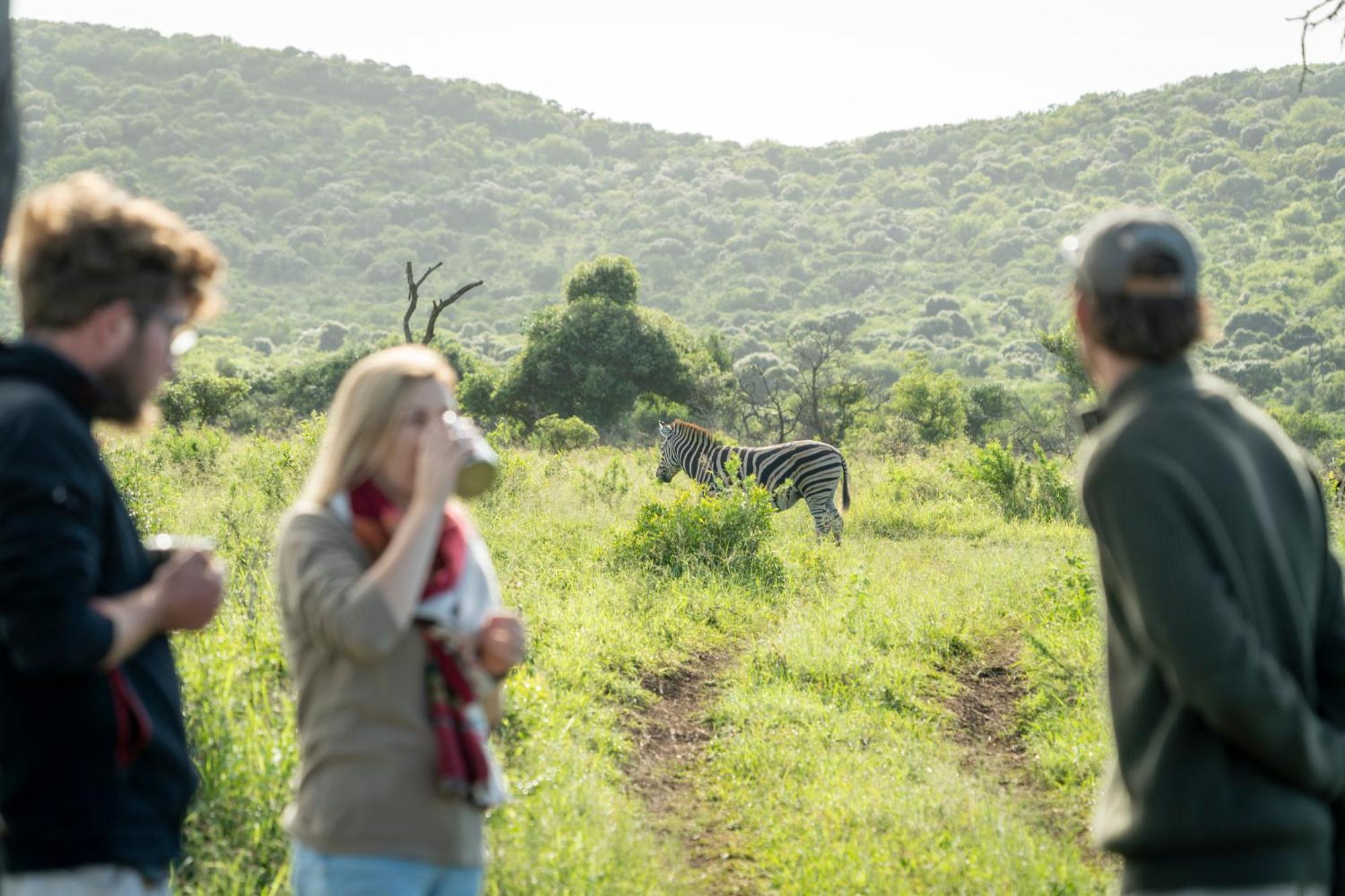 Sungulwane Private Game Lodge Хлухлуве Екстериор снимка